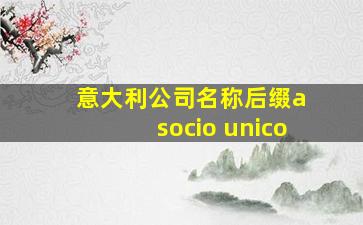 意大利公司名称后缀a socio unico